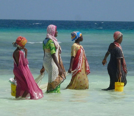 The Seaweed Economy: Economic Freedom For Women In Zanzibar