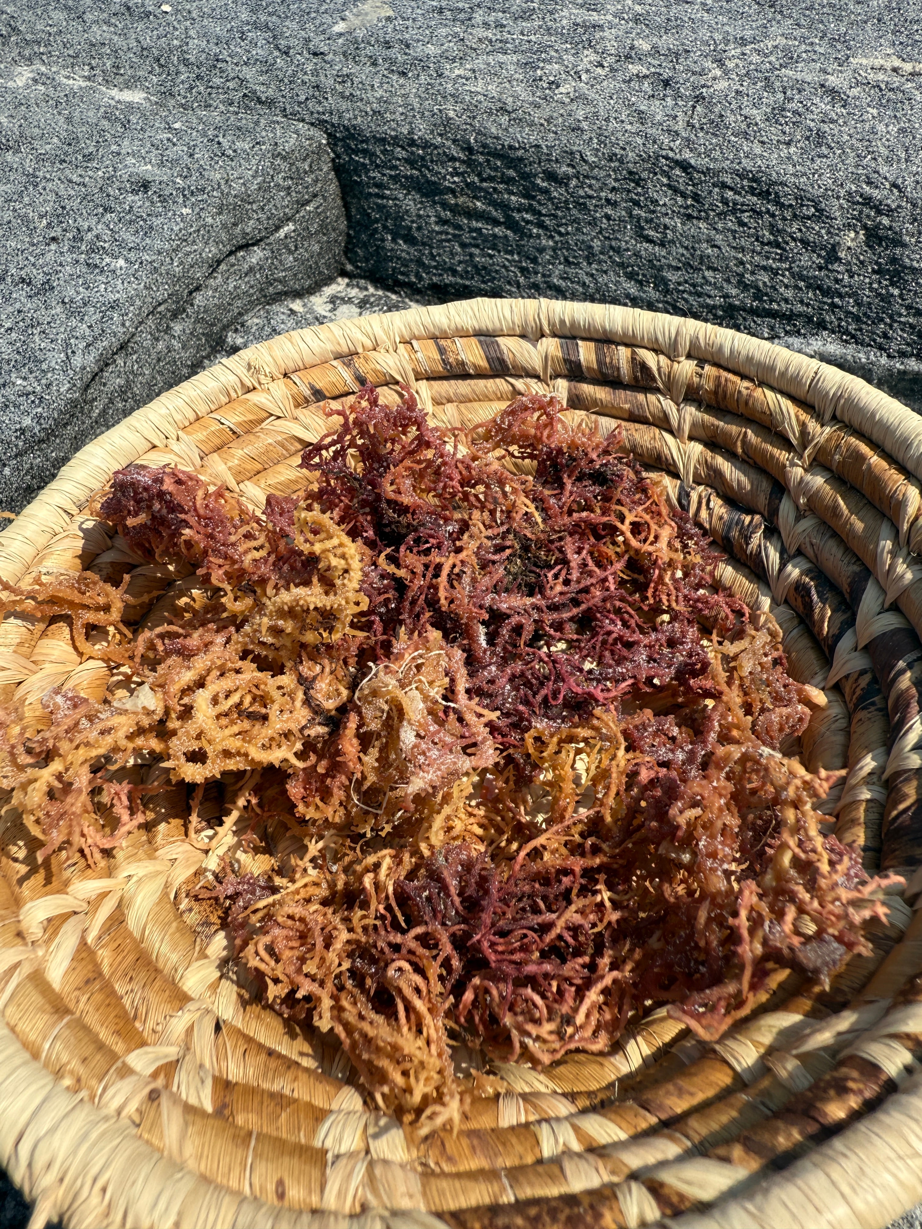 Dried Organic Sea Moss (1/2 LB)